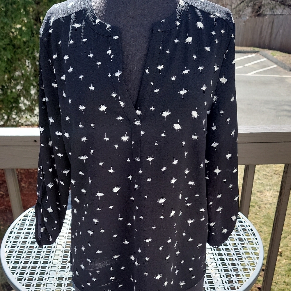 DANIELRAINN Black And White V Neck Blouse